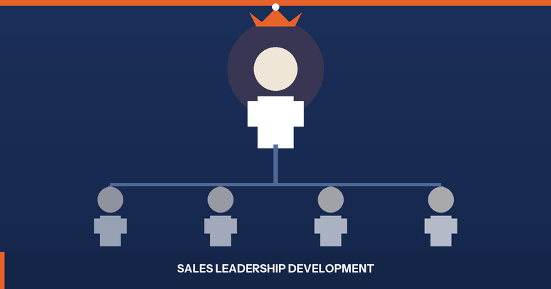 Sales Leadership Development